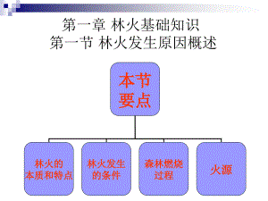 第一章-林火基礎知識-第一節(jié)林火發(fā)生原因概述