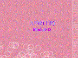 2013年九年級(jí)英語(yǔ)上冊(cè) Module 12 Summer in LA Unit 1 Your host family is meeting you at the airport課件 外研版