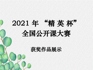 《燈泡的電功率》課件-(公開課獲獎)2022年教科版物理