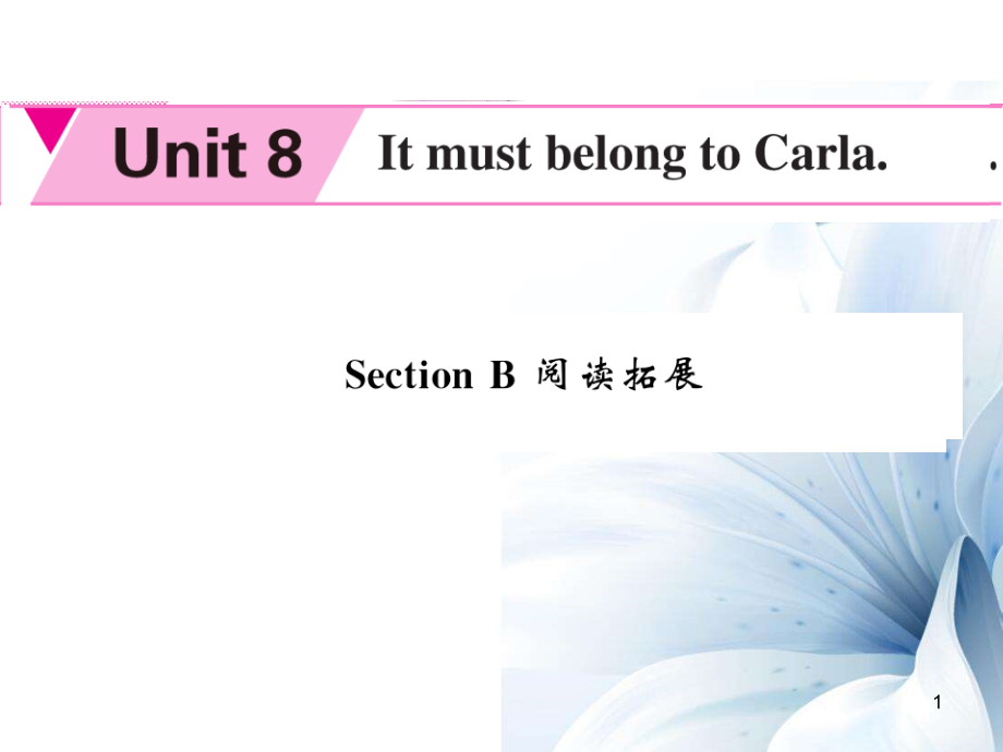 九年級(jí)英語(yǔ)全冊(cè) Unit 8 It must be belong to Carla Section B閱讀拓展課件 （新版）人教新目標(biāo)版[共9頁(yè)]_第1頁(yè)