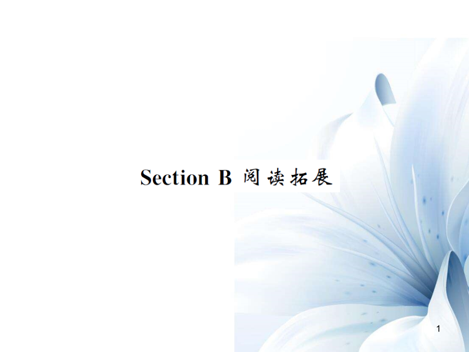 九年級(jí)英語全冊(cè) Unit 8 It must belong to Carla Section B閱讀拓展課件 （新版）人教新目標(biāo)版[共9頁]_第1頁