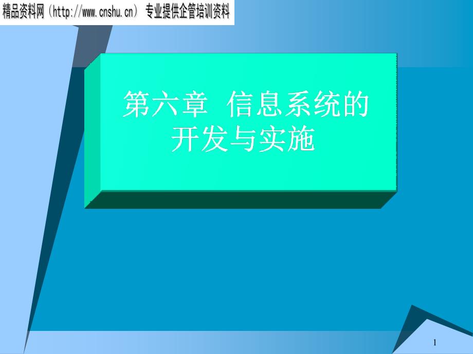 信息系统的开发及其实施41593_第1页