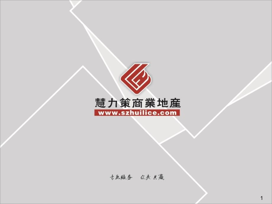 慧力策商业地产代理公司(河源宝晟城初步策划报告)bnzr_第1页