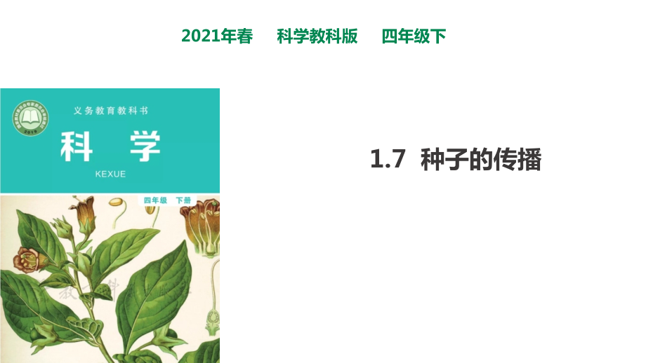 2021年春教科版四年級(jí)下冊(cè)科學(xué)17《種子的傳播》課件_第1頁(yè)