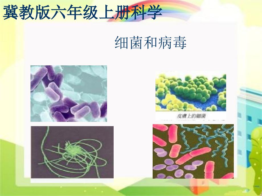 小學(xué)科學(xué)六年級(jí)上冊(cè)《細(xì)菌和病毒》課件_第1頁(yè)