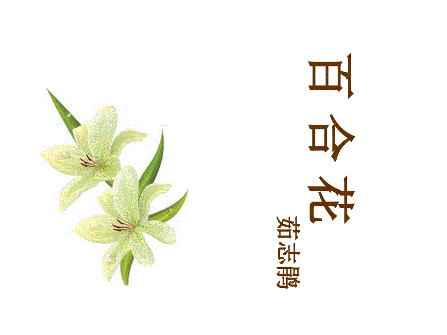 《百合花》课件1优质公开课八下_第1页