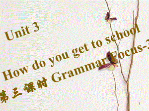 七年級(jí)英語(yǔ)下冊(cè) Unit 3 How do you get to school（第3課時(shí)）Grammar Focus-3c習(xí)題課件 （新版）人教新目標(biāo)版