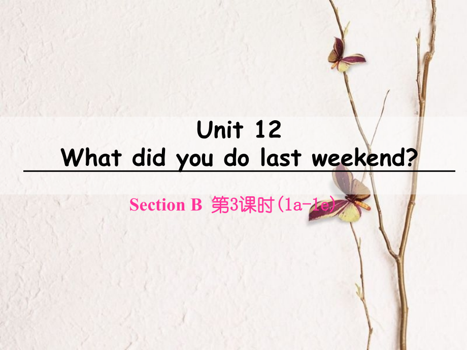 七年級英語下冊 Unit 12 What did you do last weekend（第3課時）Section B（1a-1e）課件 （新版）人教新目標版_第1頁