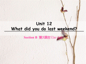 七年級英語下冊 Unit 12 What did you do last weekend（第3課時）Section B（1a-1e）課件 （新版）人教新目標版