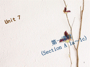 七年級英語下冊 Unit 7 It’s raining（第1課時）Section A（1a-1c）習(xí)題課件 （新版）人教新目標(biāo)版