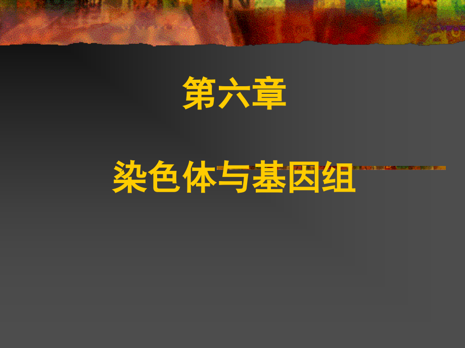 分子細胞生物學-趙艷 第六章2 基因與染色體2005_第1頁