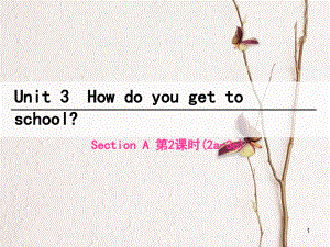 七年級(jí)英語下冊(cè) Unit 3 How do you get to school（第2課時(shí)）Section A（2a-3c）課件 （新版）人教新目標(biāo)版