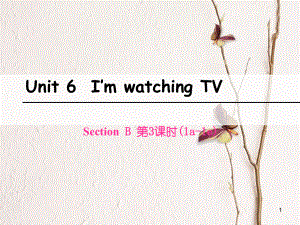 七年級英語下冊 Unit 6 I’m watching TV（第3課時）Section B（1a-1e）課件 （新版）人教新目標(biāo)版