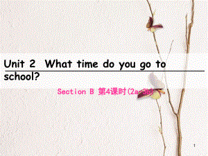 七年級英語下冊 Unit 2 What time do you go to school（第4課時）Section B（2a-3b）課件 （新版）人教新目標版