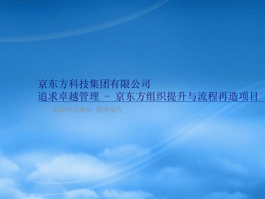 某科技公司组织提升与流程再造项目casf_第1页