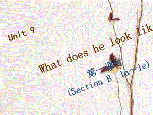 七年級英語下冊 Unit 9 What does he look like（第4課時）Section B（1a-1e）習(xí)題課件 （新版）人教新目標版