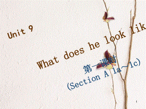 七年級(jí)英語(yǔ)下冊(cè) Unit 9 What does he look like（第1課時(shí)）Section A（1a-1c）習(xí)題課件 （新版）人教新目標(biāo)版