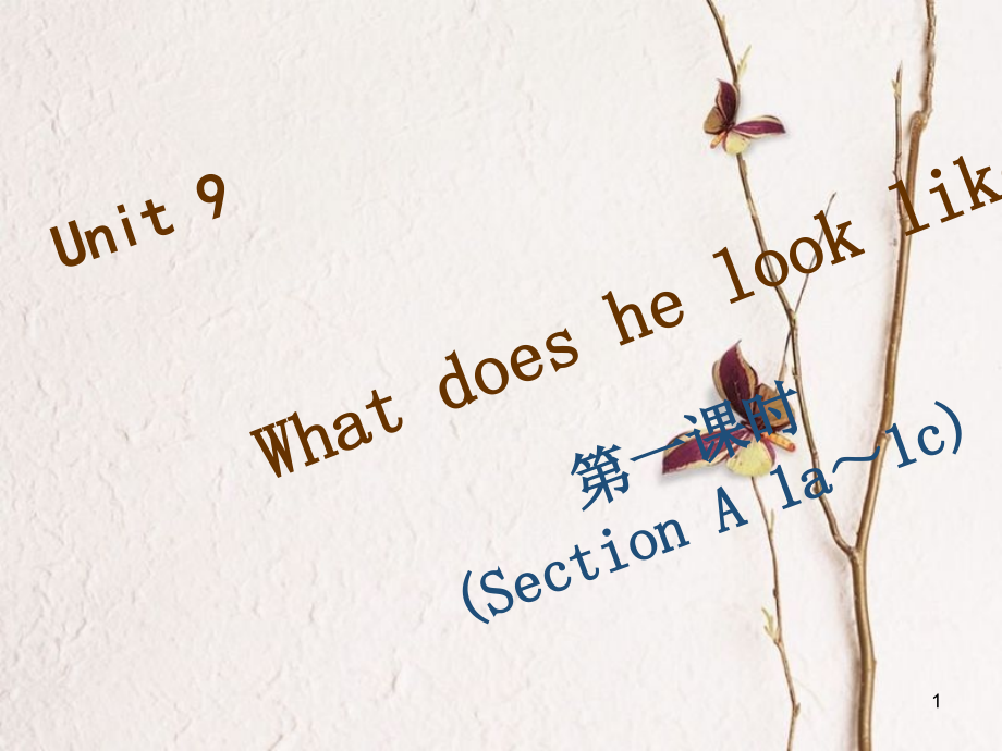 七年級(jí)英語(yǔ)下冊(cè) Unit 9 What does he look like（第1課時(shí)）Section A（1a-1c）習(xí)題課件 （新版）人教新目標(biāo)版_第1頁(yè)