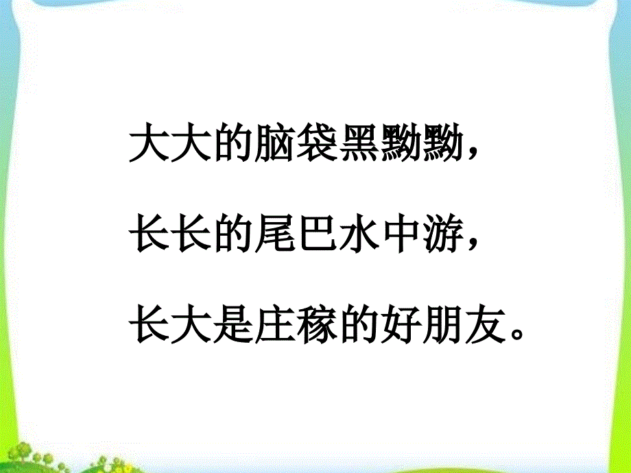 部编版二年级上册语文《小蝌蚪找妈妈》精美公开课课件_第1页