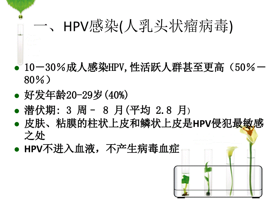 hpv感染与宫颈癌的宣传课件_第1页