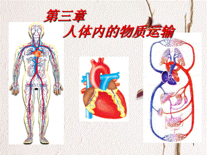 山東省鄒平縣實(shí)驗(yàn)中學(xué)七年級(jí)生物下冊(cè) 第三章 人體內(nèi)的物質(zhì)運(yùn)輸課件 （新版）濟(jì)南版[共30頁]