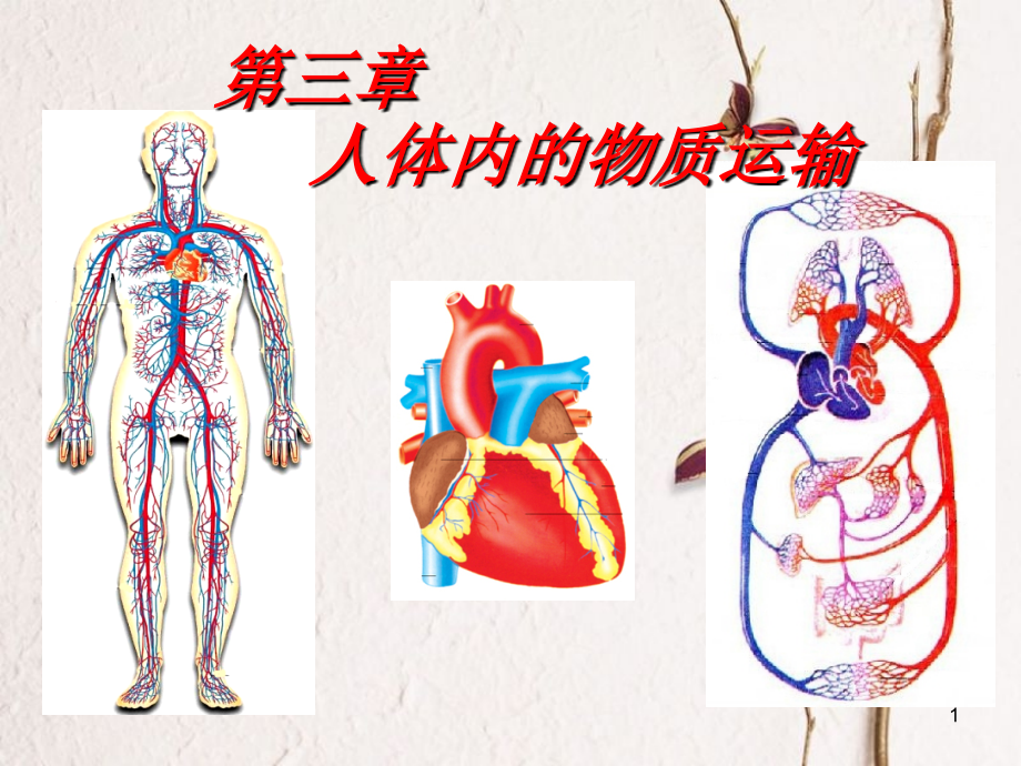 山東省鄒平縣實驗中學(xué)七年級生物下冊 第三章 人體內(nèi)的物質(zhì)運輸課件 （新版）濟(jì)南版[共30頁]_第1頁