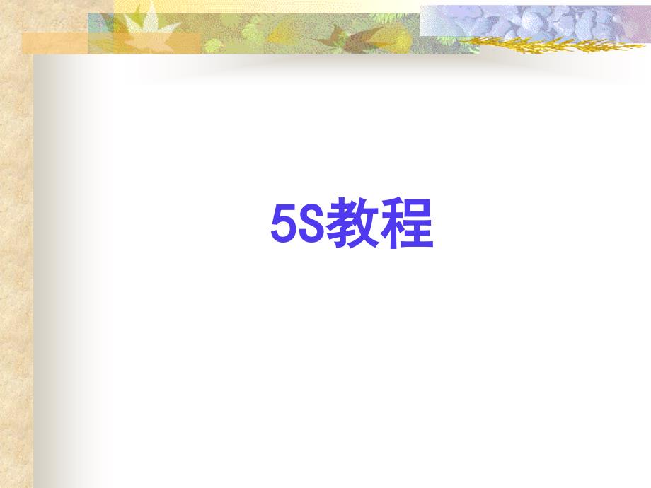 [精选]推行5S的目的和作用概论(ppt 33页)32372_第1页