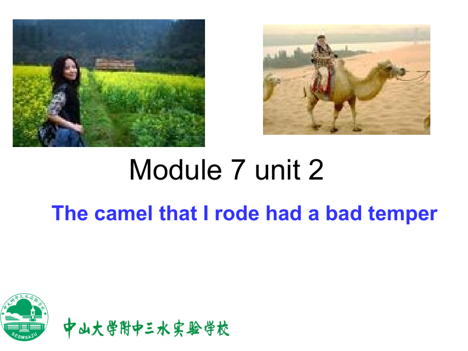 外研版九年級上冊 Module 7 Unit 2_第1頁