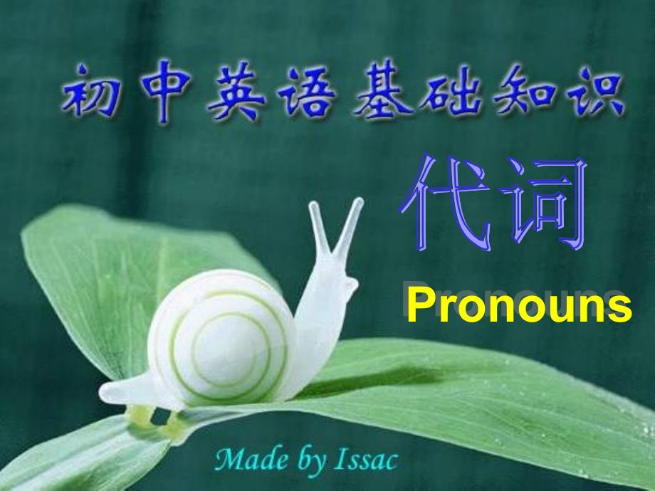 初中语法之代词的考点课件_第1页