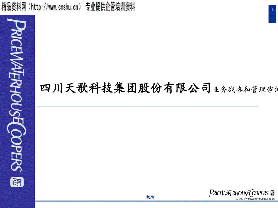 某科技公司业务战略和管理咨询报告_第1页