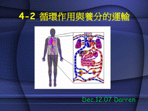 循環(huán)作用與養(yǎng)分的運輸