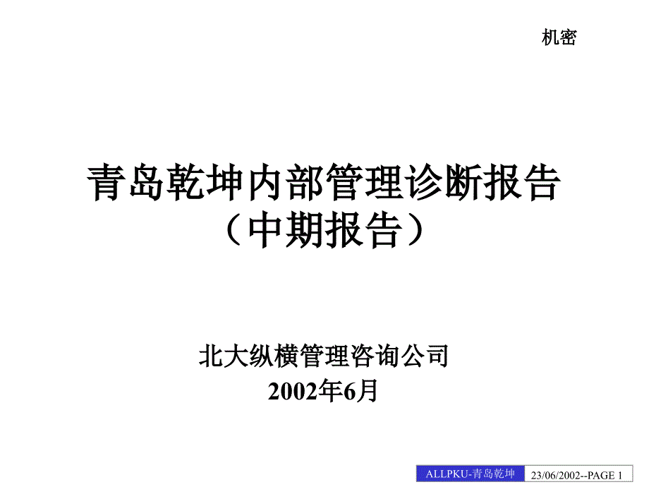 XX集团的企业诊断书_第1页