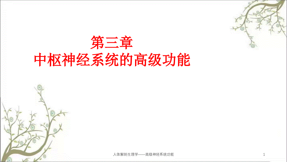 人体解剖生理学——高级神经系统功能ppt课件_第1页