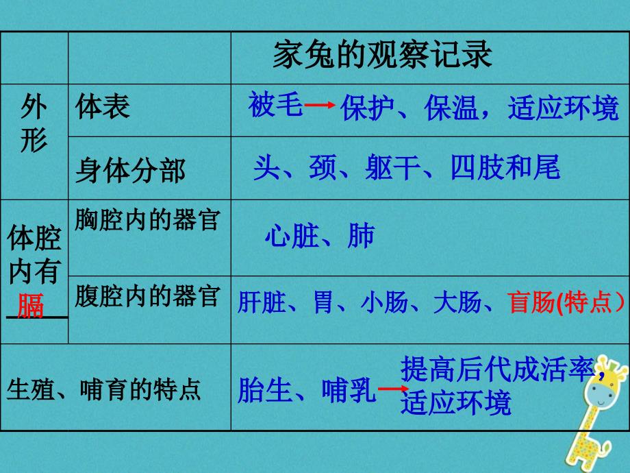 第1节水中的动物 (2)_第1页