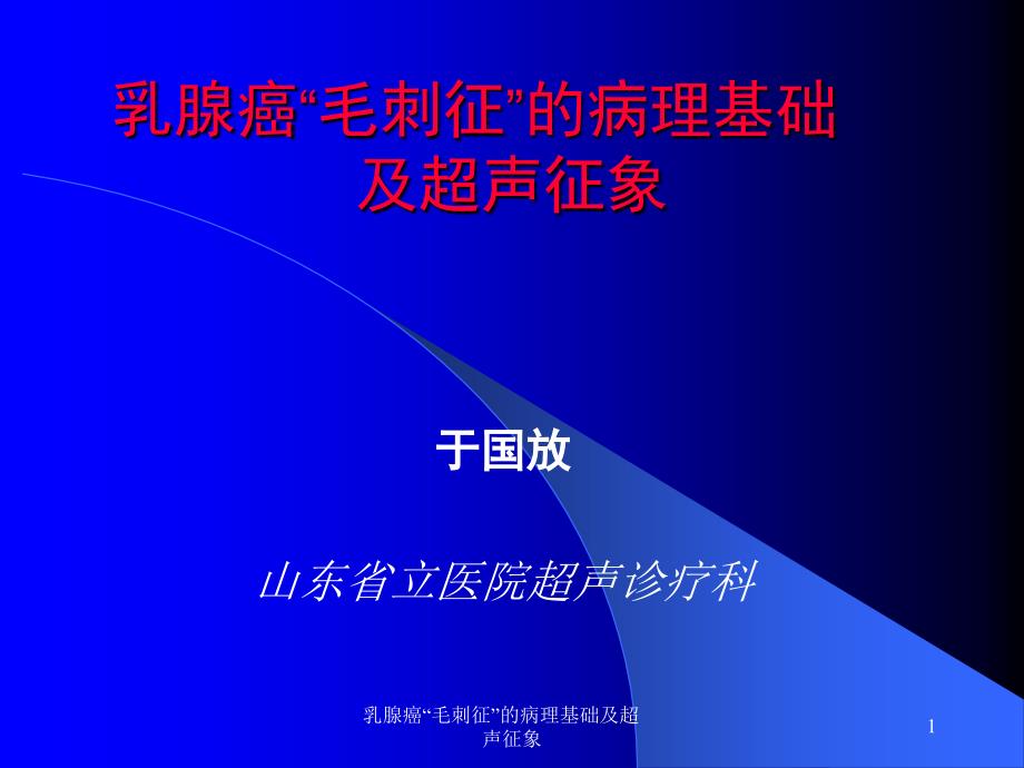 乳腺癌“毛刺征”的病理基础及超声征象ppt课件_第1页