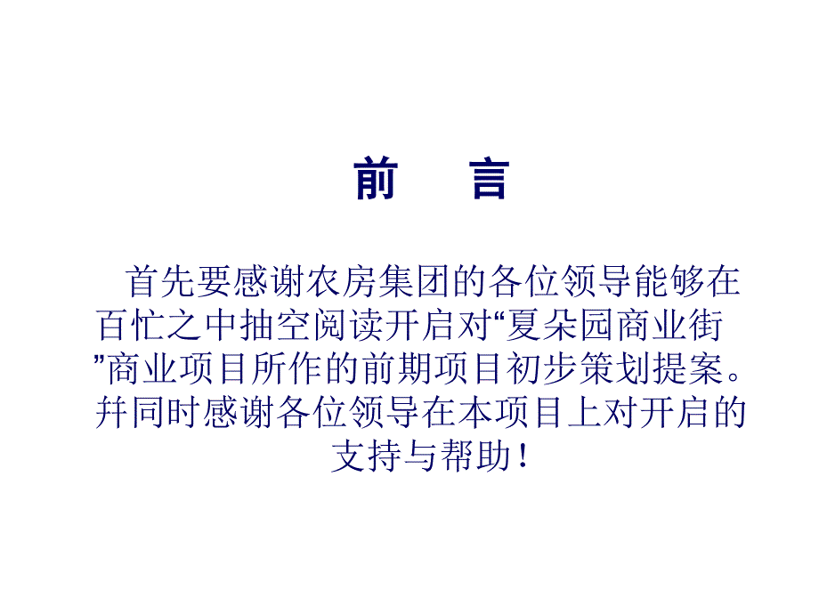 某商业街策划报告_第1页