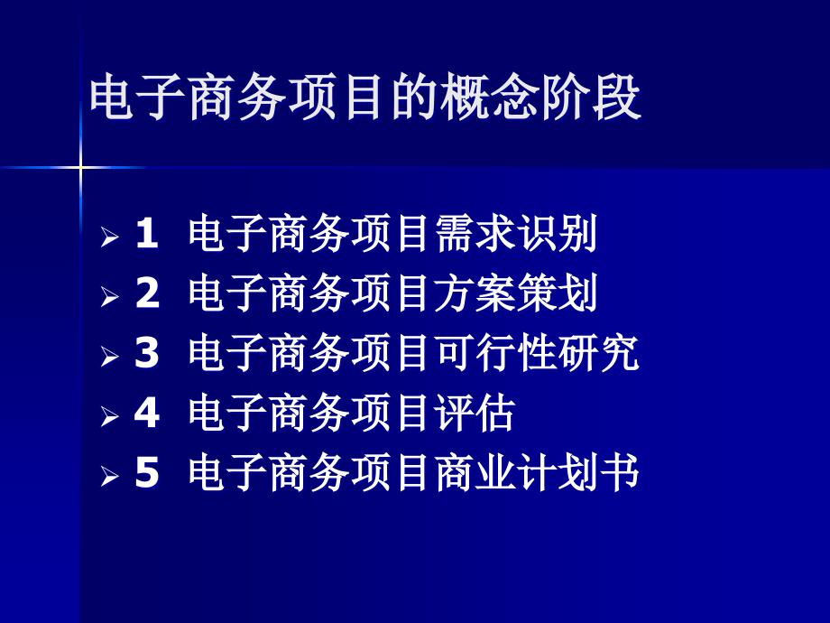 电子商务项目管理概念_第1页