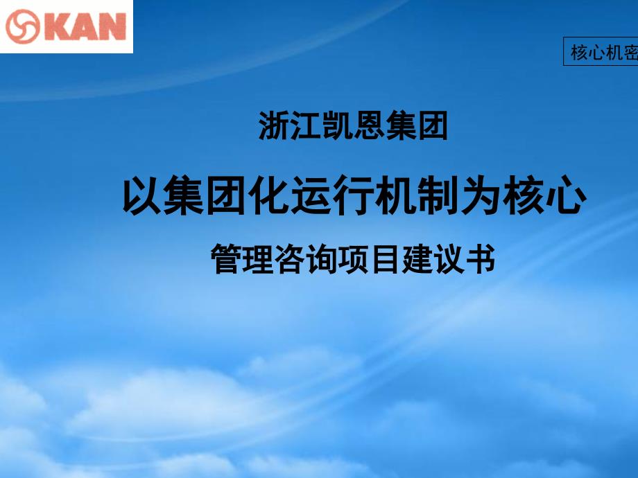 凯恩集团化运行机制咨询项目建议书图_第1页