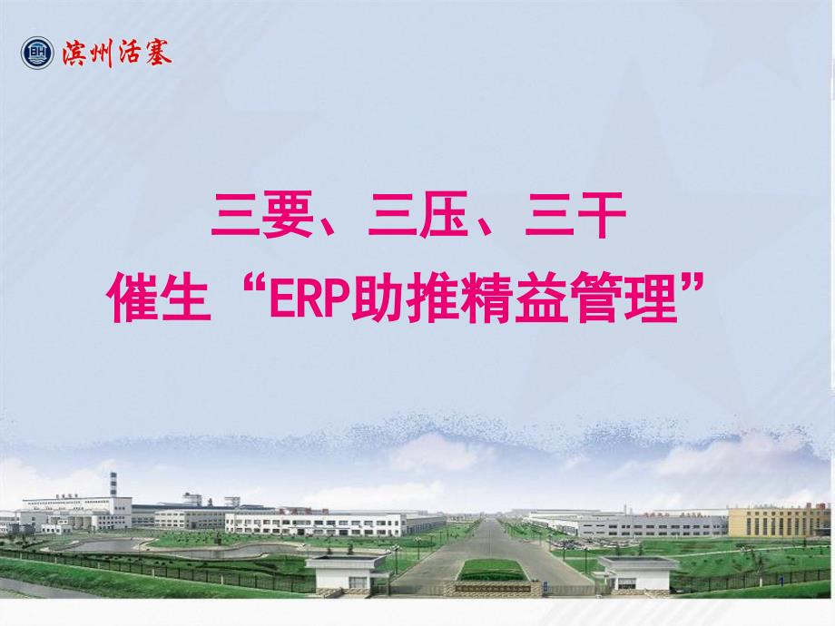 ERP与项目管理的应用_第1页