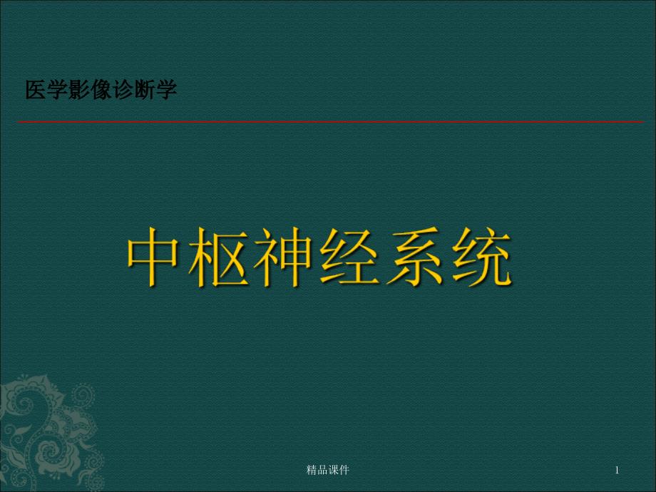 中枢神经系统临床本课件_第1页