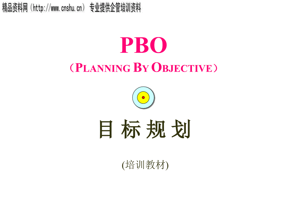 医疗行业目标规划(PBO)专业培训资料_第1页