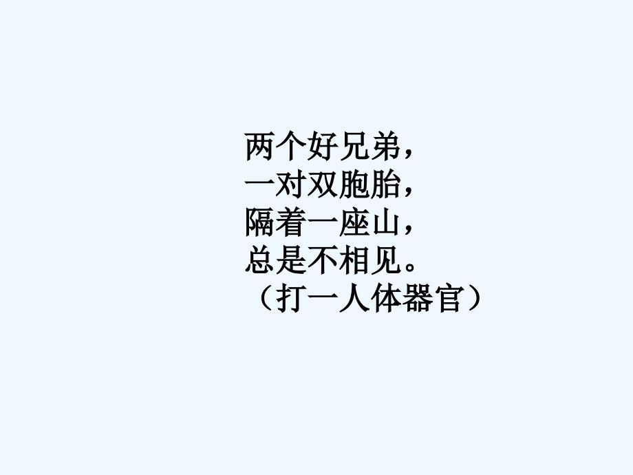 《音的高低》(精品)_第1页