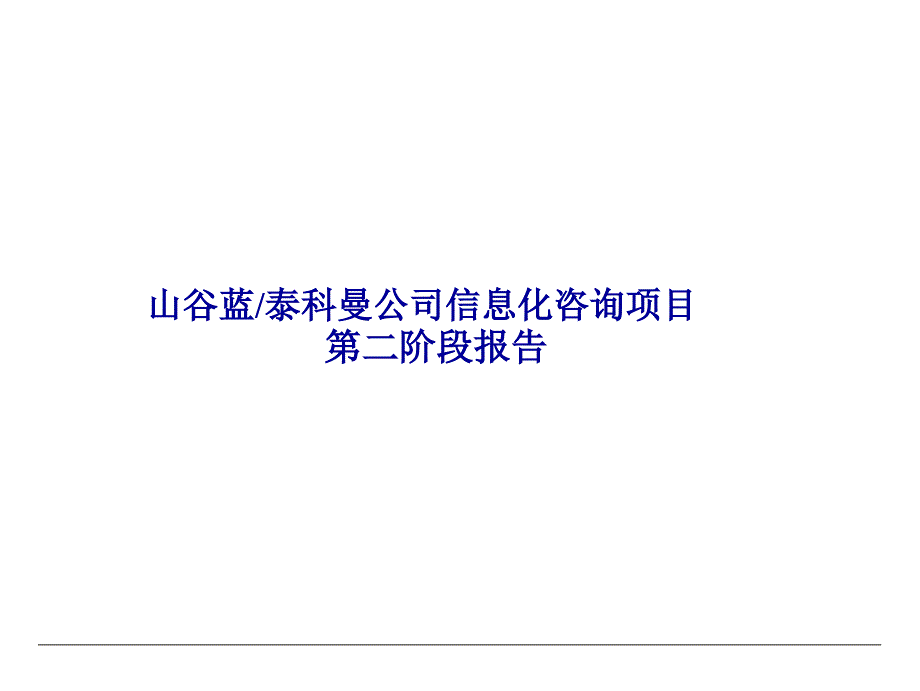 山谷蓝信息化咨询项目第二阶段报告_第1页