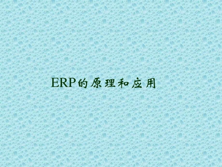 ERP的原理和应用_第1页