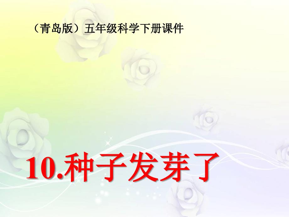 青岛小学科学五下《10.种子发芽了》课件_第1页