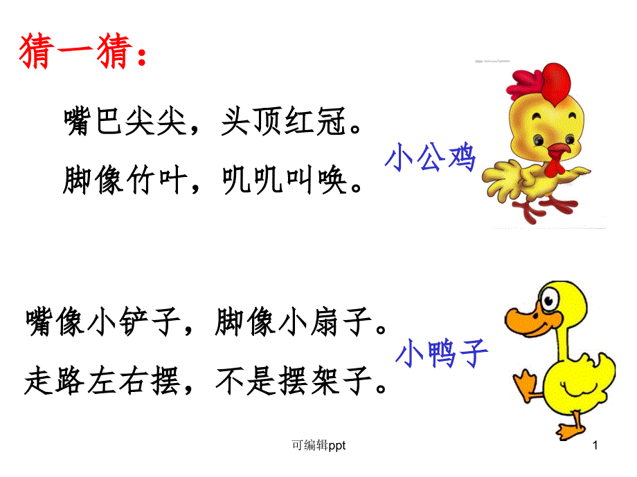 小公鸡和小鸭子公开课优秀课件_第1页