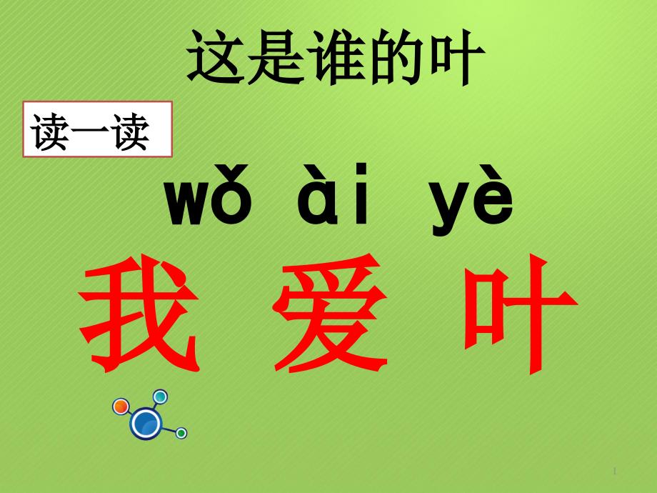 一年级上册科学ppt课件-1、4这是谁的叶-l--教科版_第1页