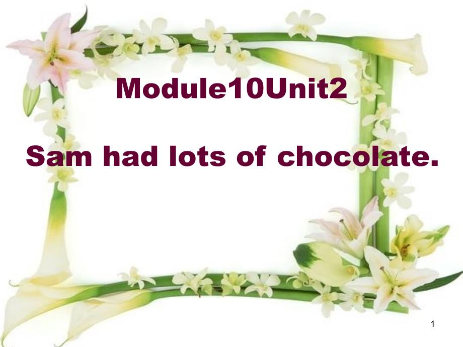 小学英语四年级下册外研版(三起)Module-10-Unit-2-Sam-had-lots-of-chocolate公开课ppt课件_第1页