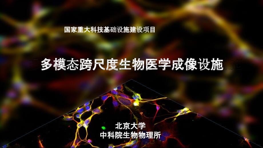 多模态跨尺度生物医学成像设施课件_第1页