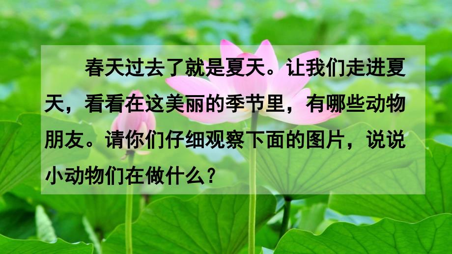 新教材部编版语文一年级下册《识字动物儿歌》ppt课件_第1页